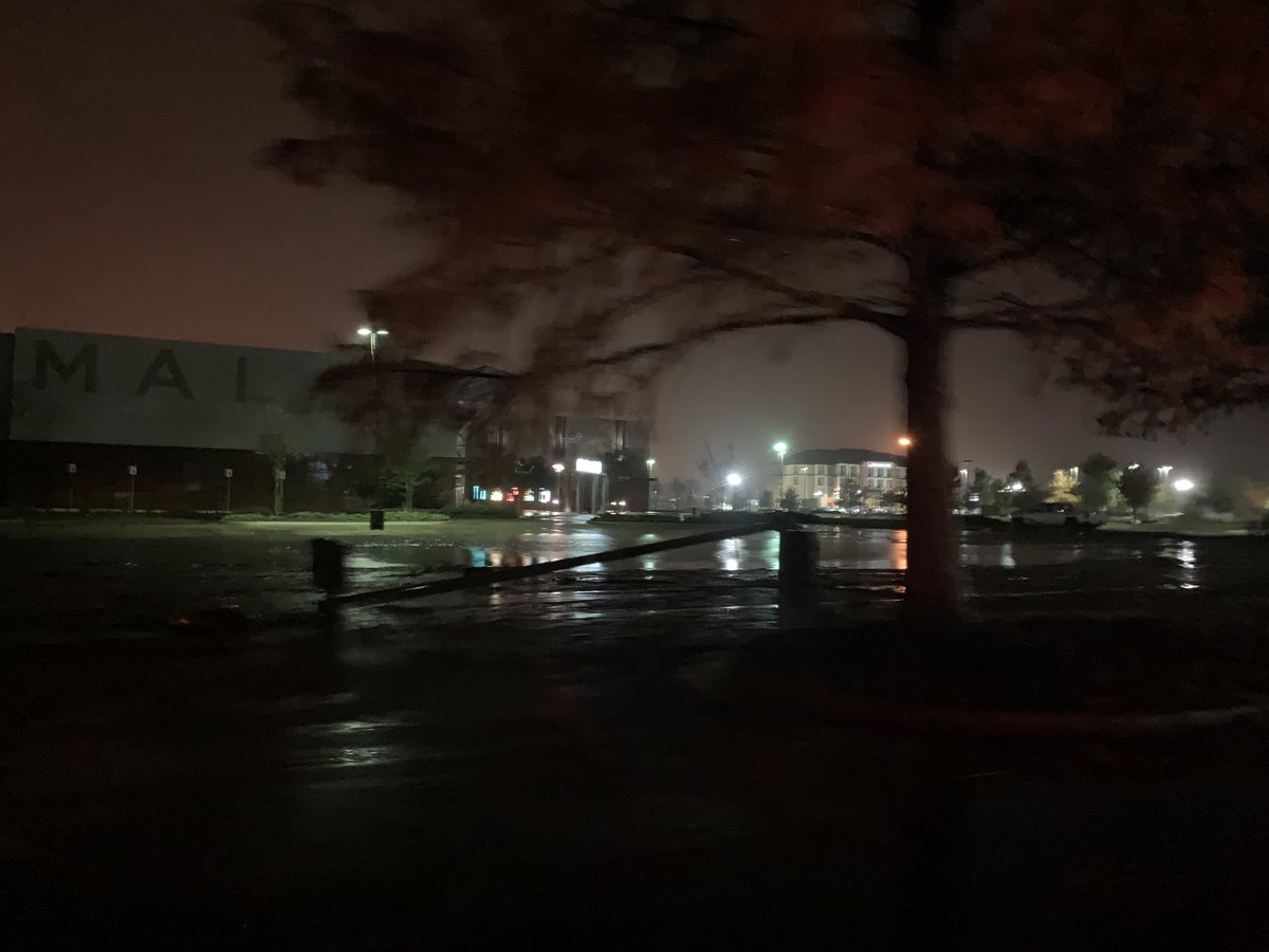 Tornado damage in Tupelo near the Malco and Lowe's. Roof damage, windows blown out, and trees down