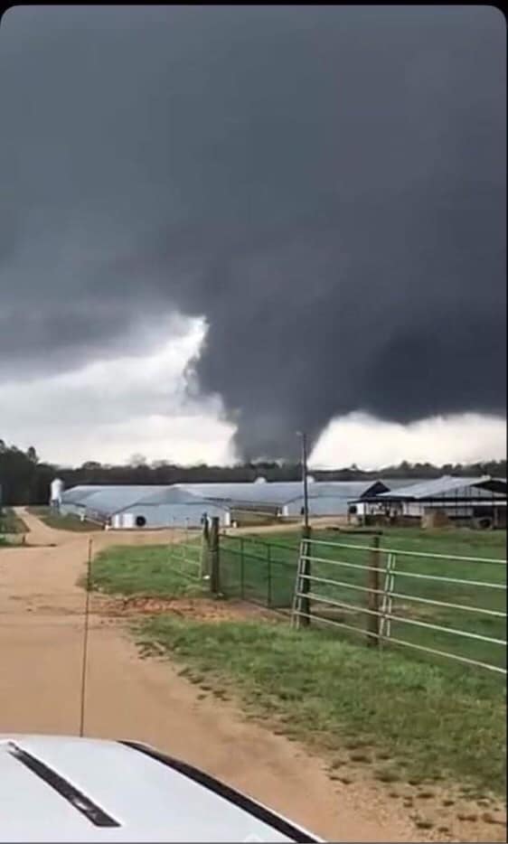 Devon Polansky took this photo of a tornado that just touched down in the Whistler Community, Wayne County Mississippi.