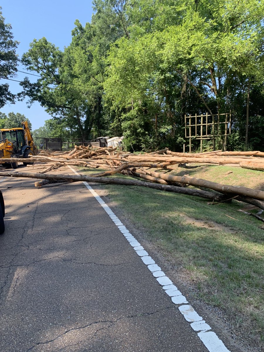 Emergency crews are on the scene of a crash involving a log truck and a tanker truck on US61 in Claiborne County, one mile south of Port Gibson.  One driver was transported due to his injuries, and the other suffered minor injuries