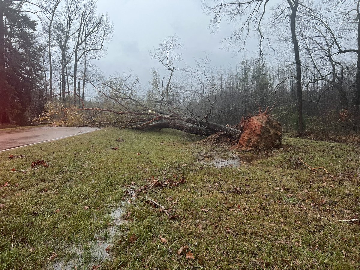 Multiple trees are down blocking traffic in both directions on the Natchez Trace   coming to and out of Canton,MS. Vehicles are being turned around. Fire officials say crews are on the way to clear the down trees